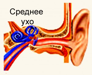 Лечение отита